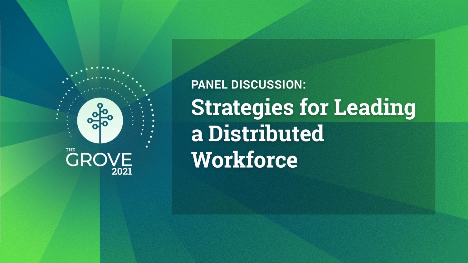 Panel Discussion-strategies-for-DWF