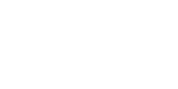 TravelZoo Logo