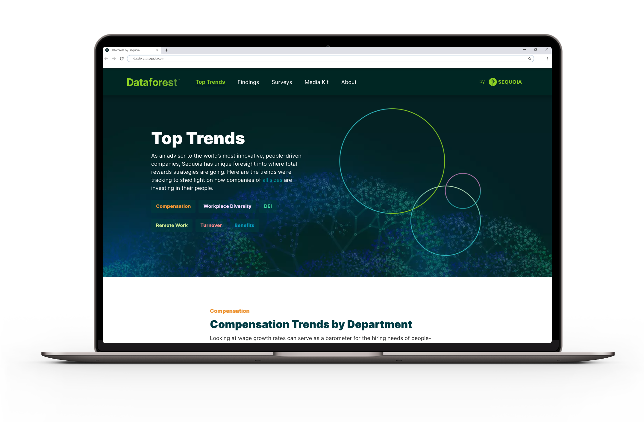 Dataforest-2021-Trends Screenshot of Dataforest Interface