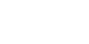 vip kid global