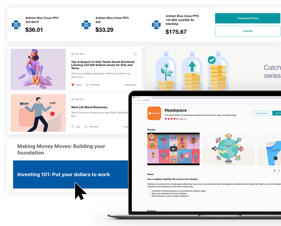 Wellbeing resources and education