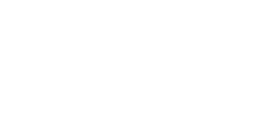 allbirds