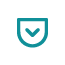 Compliance Icon