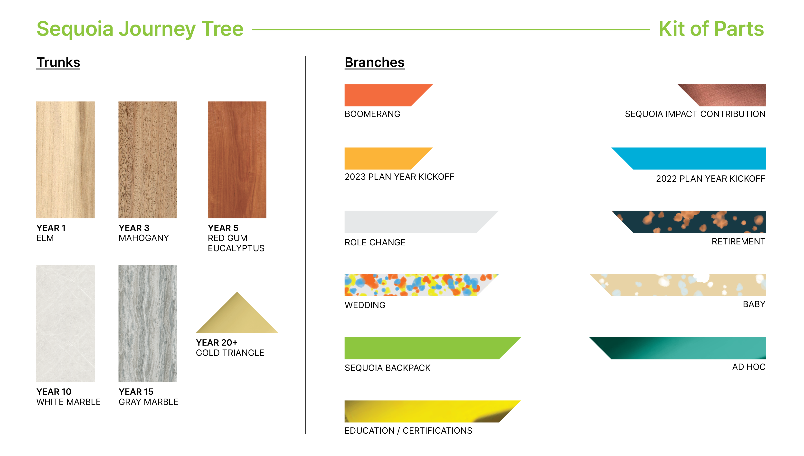 103123_JourneyTree_PXGraphics