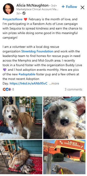 Image showing Random Acts of Love