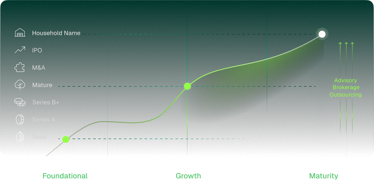 stylized chart of investor-backed company growth phases