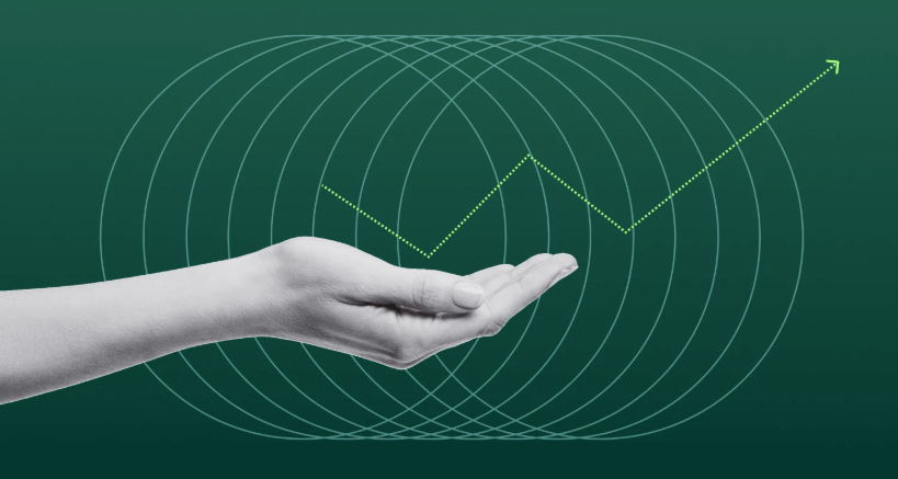 comp survey stylized preview